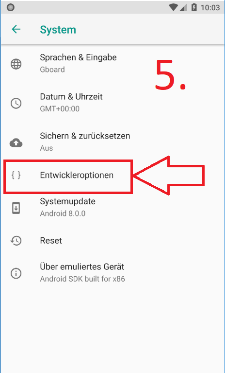 Entwickleroptionen aktivieren (Schritt 5)